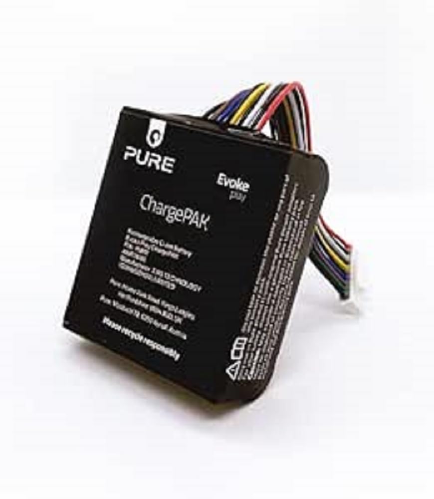 pure-evoke-play-chargepak-wiederaufladbarer-akku-f-r-pure-evoke-play-musiksystem image 1